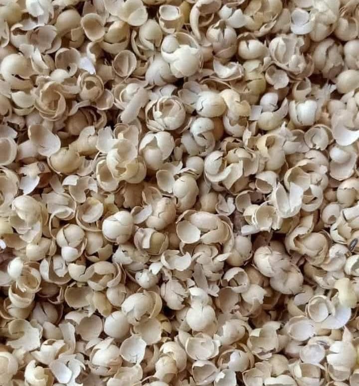 قشرة الصويا